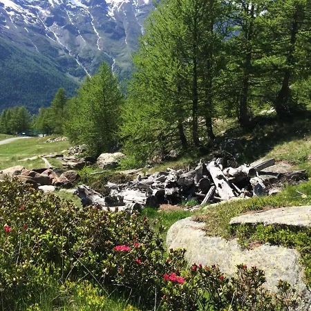 Sunstar Gross By Interhome Saas-Grund