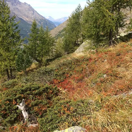 Sunstar Gross By Interhome * Saas-Grund